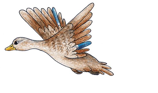 ZWEISPRACHIGE KINDERLITERATUR auf Slowakisch und Deutsch